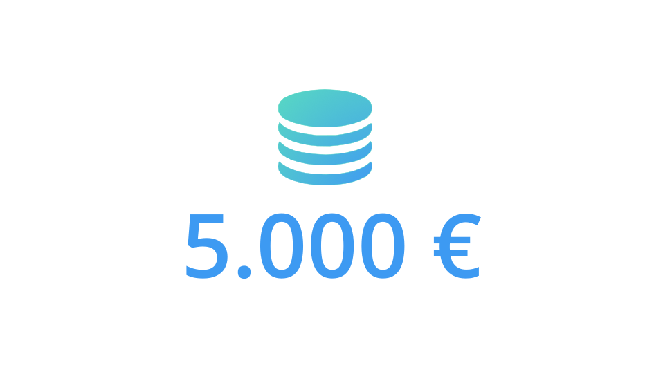 5.000 €